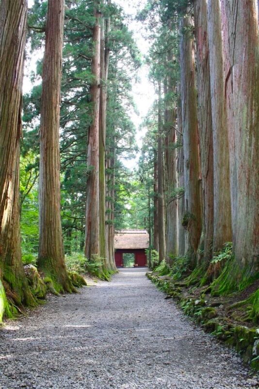 Togakushi Day Tour:Hands-on Soba Noodles,Ninja Village,Hidden Shrine - What the price includes, and what it does not