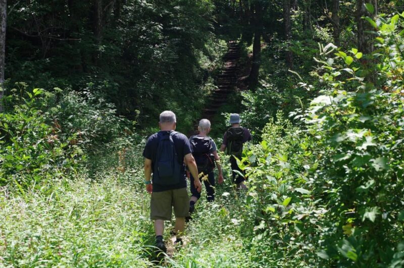 Togakushi: Sacred Forest Walk & Soba Traditions - The Sum Up: Worth the Journey