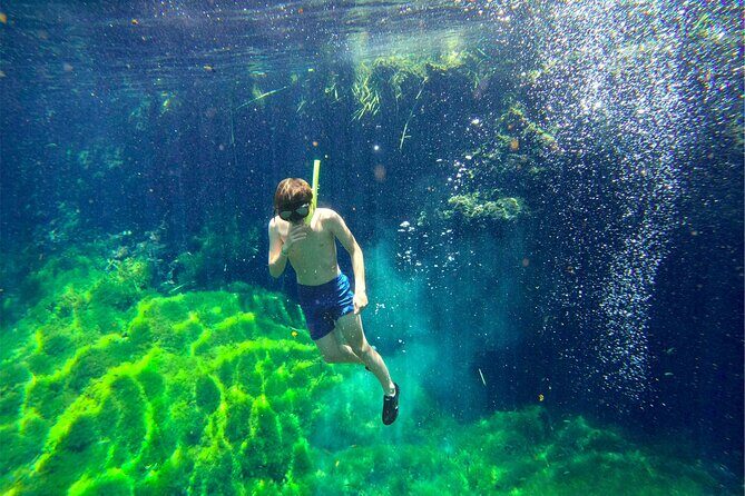 Toh Tours Adventures Cenotes Chemuyil - Why This Tour Is Worth Considering