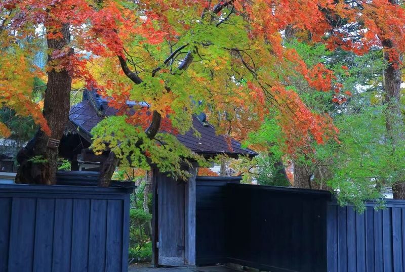 Tohoku, Japan | Akita Private Car Tour: Akita City & Lake Tazawa/Kashima/Kakunodate/Dakigaeri Gorge | Customizable Itinerary - Why a private car makes sense around Akita