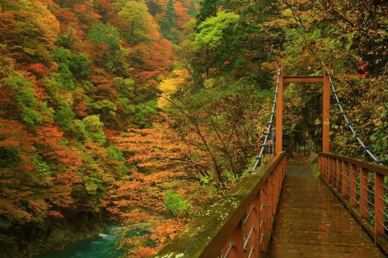 Tohoku, Japan | Akita Private Car Tour: Akita City & Lake Tazawa/Kashima/Kakunodate/Dakigaeri Gorge | Customizable Itinerary - Lake Tazawa: give the day room to breathe