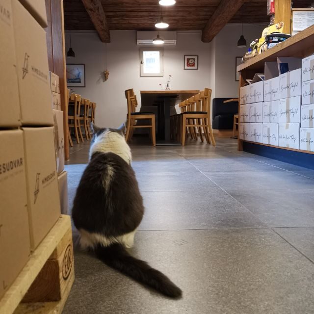 Tokaj: Classic Wine Tasting - Final Thoughts