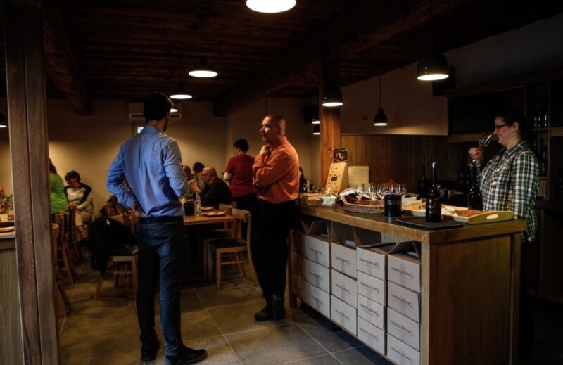 Tokaj: Vineyard Tour & Tasting - Starting Point and Logistics