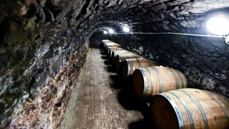 Tokaj: Vineyard Tour & Tasting - Welcome and Introduction at Hímesudvar