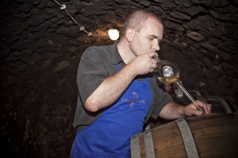 Tokaj: Vineyard Tour & Tasting - Exploring the Wine Cellar—A 500-Year-Old Gem