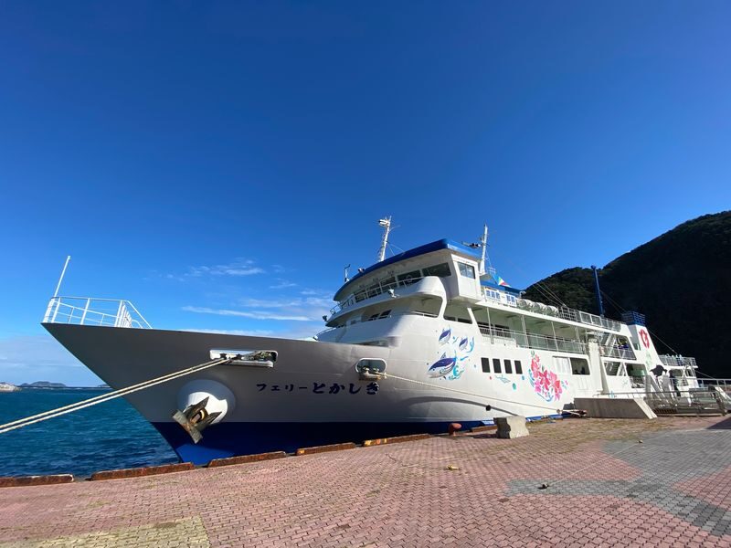 Tokashiki Island Boat Snorkeling Experience - Tokashiki, without arranging every piece yourself