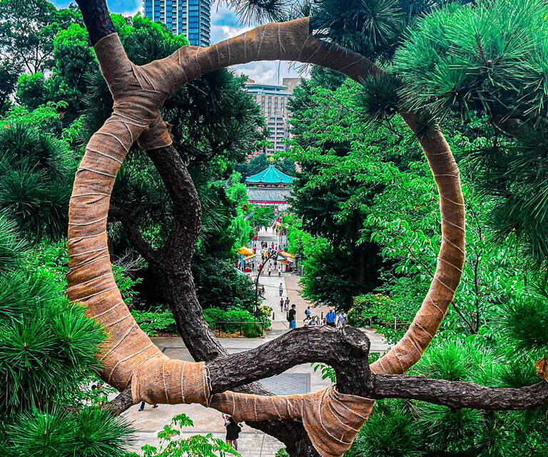 Tokio A: Tour de la ciudad en Español - Spanish - Key Points