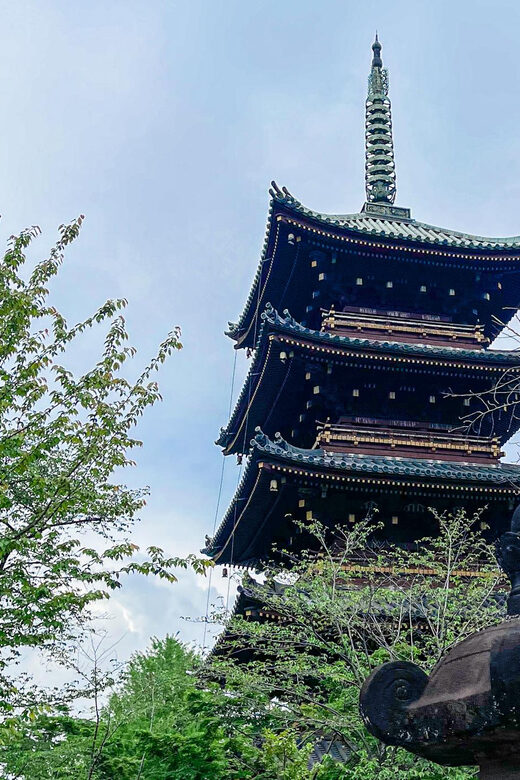 Tokio A: Tour de la ciudad en Español - Spanish - Frequently Asked Questions