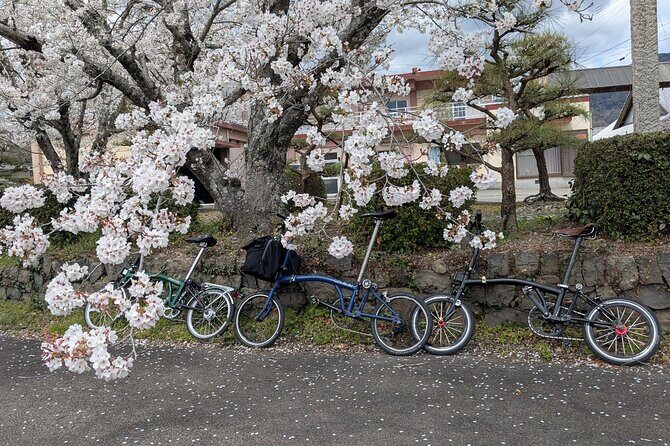 Tokushima Cycling Tour to Riverside Town and Indigo Dyeing - Analyzing the Cost and Value