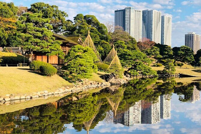 Tokyo 1-Day Bus Tour, hotel pick-up and drop-off, Japan Gray Line - Who Should Consider This Tour?