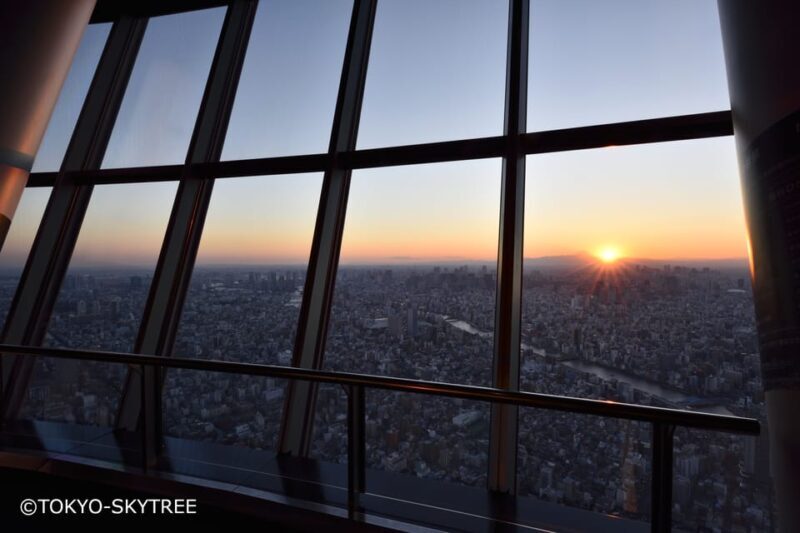 Tokyo: 1 Day Bus Tour with Meiji-Jingu,Odaiba,lunch&Skytree - An In-Depth Look at the Tour Experience
