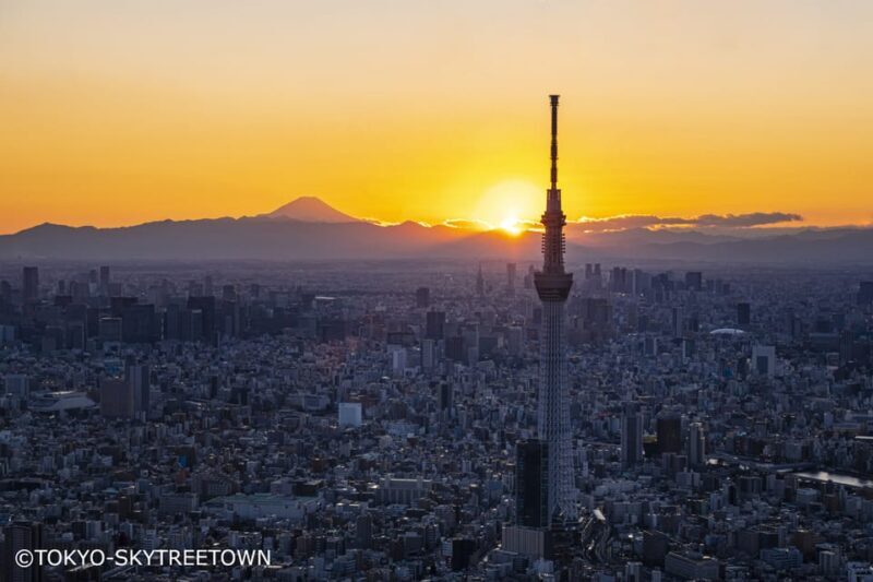 Tokyo: 1 Day Bus Tour with Meiji-Jingu,Odaiba,lunch&Skytree - FAQs
