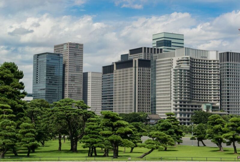 Tokyo: 1-Day Private Customizable Tour by Car - Practical Considerations and Tips
