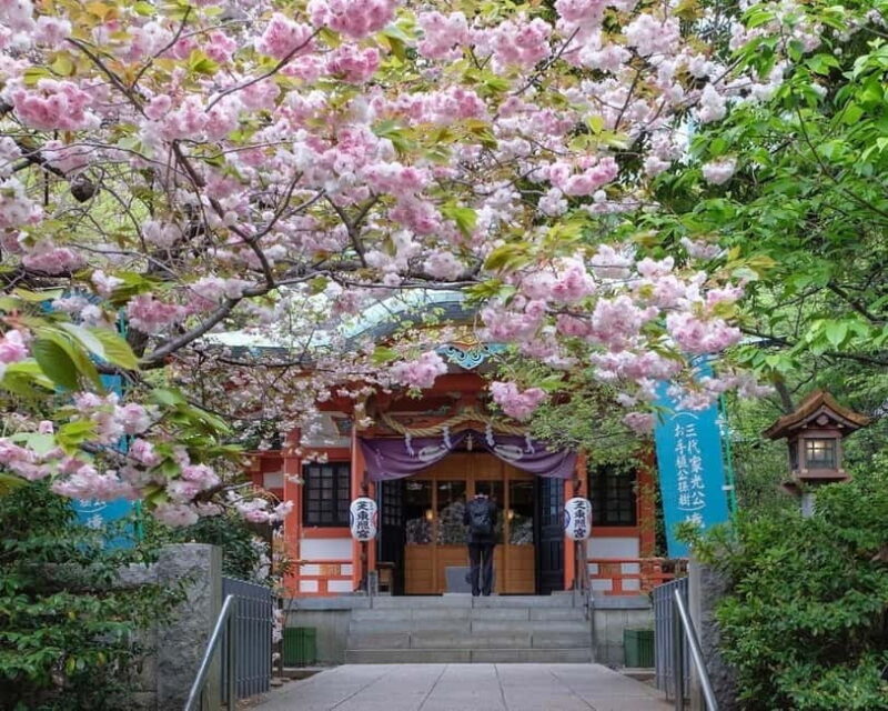 Tokyo: 1-hour Tokyo Tower Scenic Rickshaw Adventure - The Experience in Detail