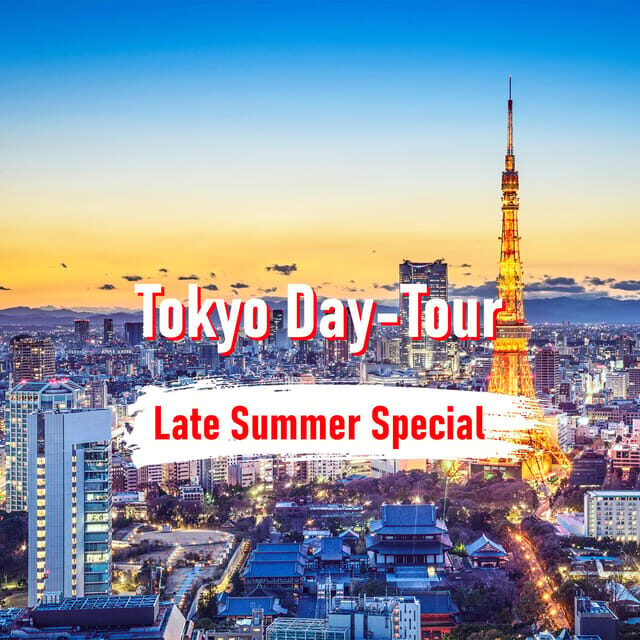 Tokyo: 10-hour Customizable Private Tour with Hotel Transfer - Exploring Tokyo: A Flexible, Private 10-Hour Tour with Hotel Transfer