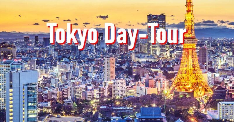 Tokyo: 10-hour Customizable Private Tour with Hotel Transfer - Key Points