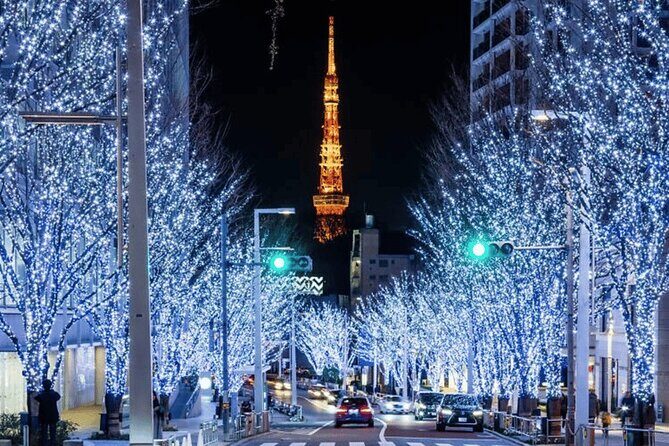 Tokyo 10 Hour Imperial Palace & Skytree & Akihabara Private Tour - Exploring the Highlights: What You Can Expect