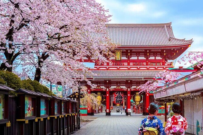 Tokyo 10 Hour Imperial Palace & Skytree & Akihabara Private Tour - Who Will Appreciate This Tour?