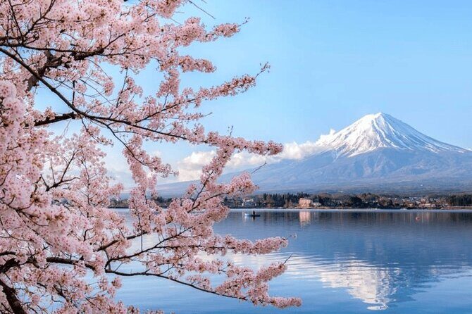 Tokyo 10 Hour Imperial Palace & Skytree & Akihabara Private Tour - FAQ