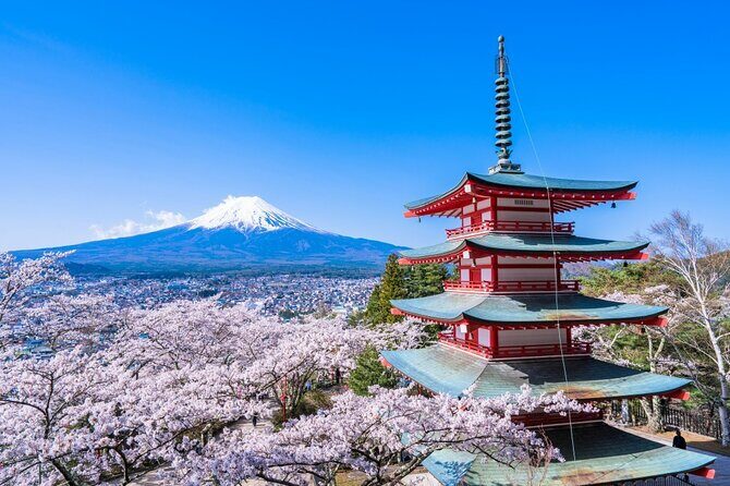 Tokyo: 10-hour Mount Fuji Private Customizable Day Tour - Exploring the Mount Fuji Private Day Tour: What You Need to Know