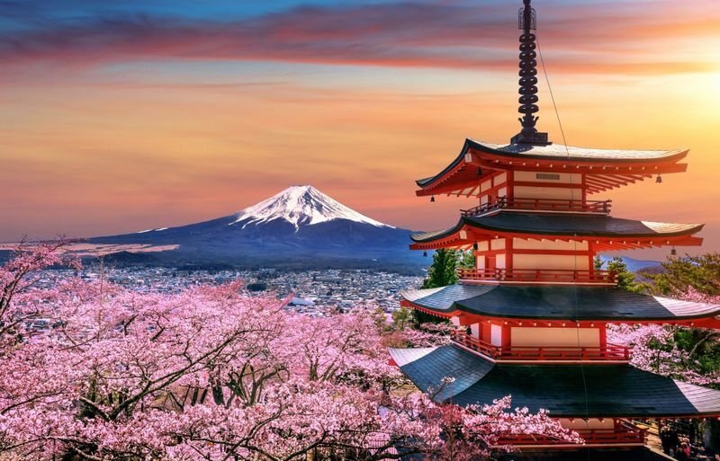 Tokyo: 2-Day Hot Spring Trip to Fuji, Hakone, and Izu - The quick take