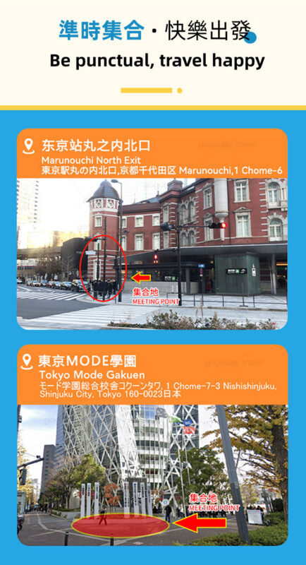 Tokyo: 2-Day Hot Spring Trip to Fuji, Hakone, and Izu - The main compromise: a lot of ground in little time