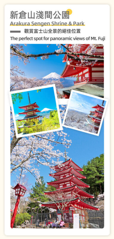 Tokyo: 2-Day Hot Spring Trip to Fuji, Hakone, and Izu - Who should book this trip?