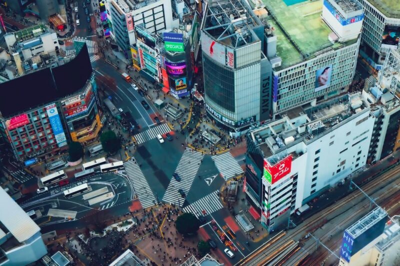 Tokyo: 2-Day Private Tour Tokyo City & Mt. Fuji or Hakone. - What’s Included and What to Consider