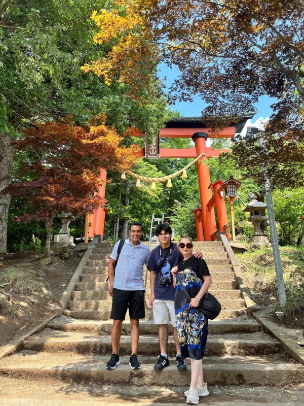 Tokyo: 3-Day Nikko, Tokyo, and Mt. Fuji SightSeeing Tour - Who Should Consider This Tour?