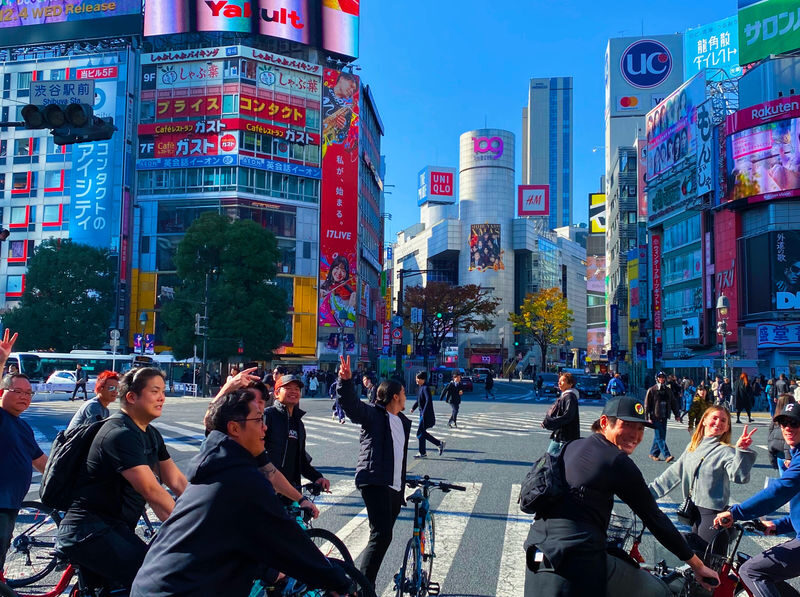 Tokyo 3-Hour Bike/E-bike Tour of the Central City Areas - Akasaka Palace and the route west