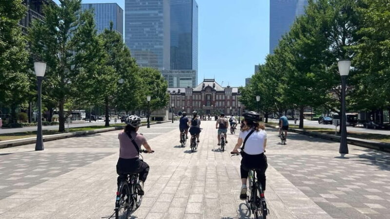 Tokyo: 3-hour Guided E-Bike Tour of the City's Hidden Gems - Who Should Consider This Tour?