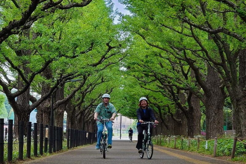 Tokyo: 3h Private E-bike Tours, Starting at Your Hotel - The Sum Up
