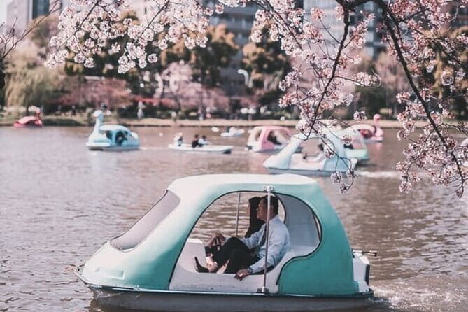 Tokyo 5hr Private Guided Tour & Calligraphy Experience - Practical Details: What to Know Before You Book