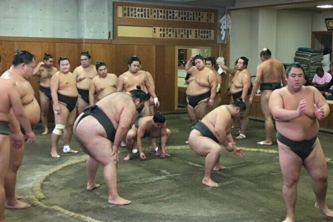 Tokyo 5hr Private Tour & Sumo Wrestler Morning Practice Viewing - Tokyo 5hr Private Tour & Sumo Wrestler Morning Practice Viewing: A Deep Dive