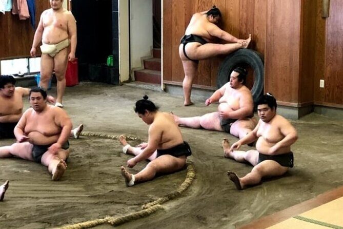 Tokyo 5hr Private Tour & Sumo Wrestler Morning Practice Viewing - Final Thoughts