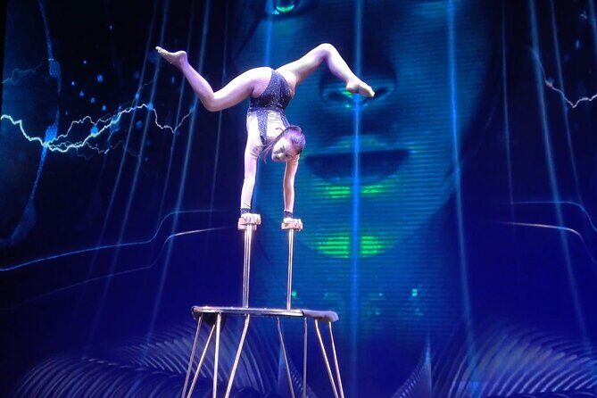 Tokyo 7hr Private Guided Tour and Night Out Variety Act Show - Practical Tips for Travelers