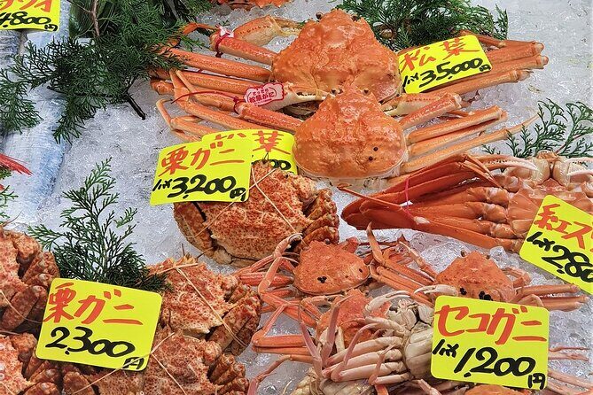 Tokyo 8 Hour Senso-ji & Tsukiji Outer Market & Ginza Private Tour - Practical Details and Tips