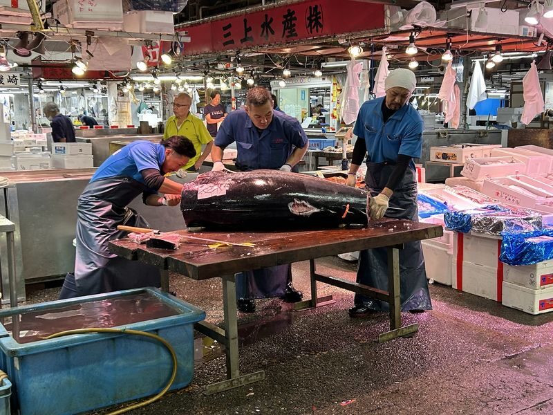 Tokyo Adachi Fish Market Half-Day Small Group Walking Tour - Key things to know