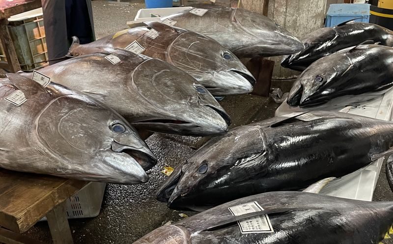 Tokyo Adachi Fish Market Half-Day Small Group Walking Tour - Is $149.85 a fair price?