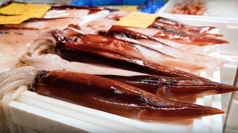 Tokyo Adachi Fish Market Half-Day Small Group Walking Tour - Practical details before you book