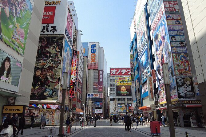 Tokyo Akihabara Anime Manga Video Games and Maid Cafe Tour - Key Points