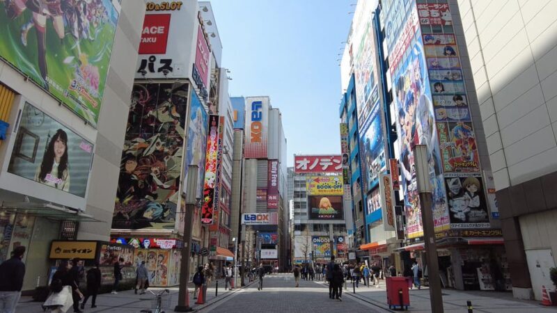 Tokyo Akihabara, Anime, Manga, Video Games & Maid Cafe Tour - Why This Tour Offers Great Value