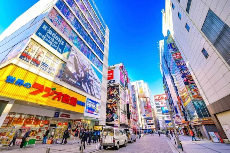 Tokyo Akihabara Anime walking tour & Maid Cafe option - Who Should Consider This Tour?