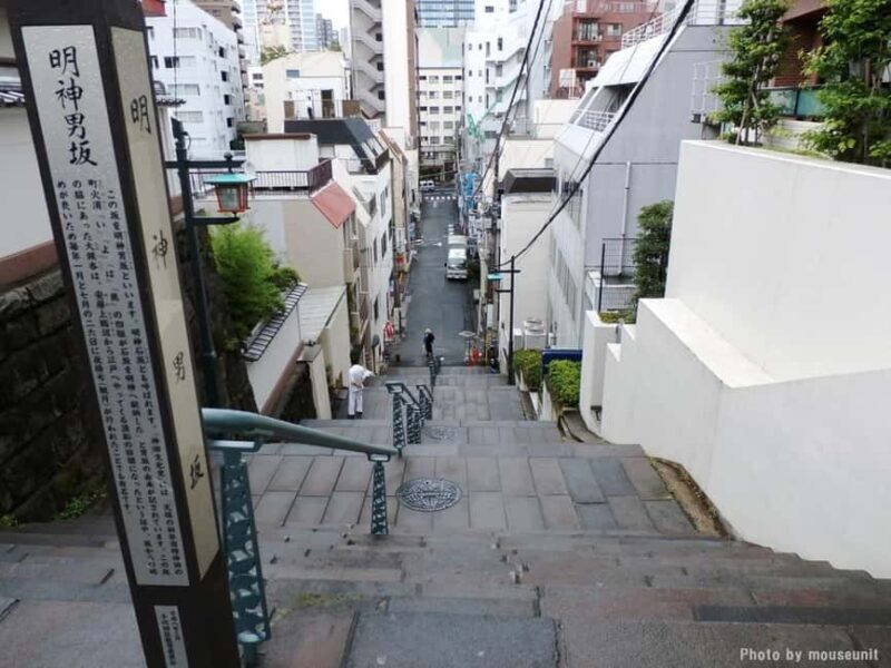 Tokyo Akihabara Anime walking tour & Maid Cafe option - Practical Tips and Considerations