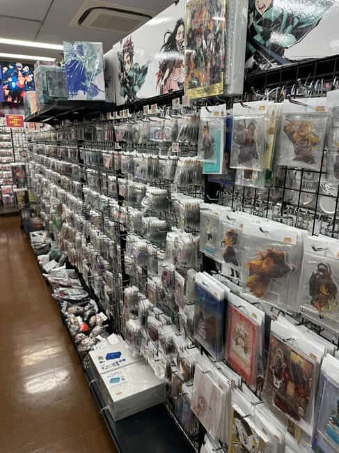 Tokyo Akihabara Anime walking tour & Maid Cafe option - Who Will Love This Tour?