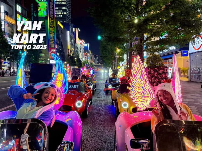 Tokyo: Akihabara/Asakusa Go-Karting Tour (including guide) - Starting Point and How It Works