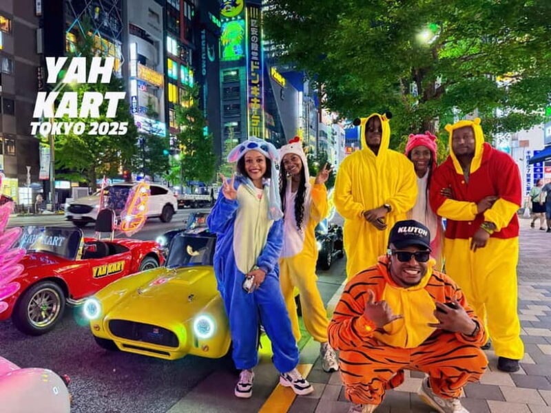 Tokyo: Akihabara/Asakusa Go-Karting Tour (including guide) - Safety and Guidance