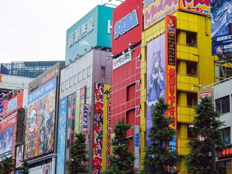 Tokyo: Akihabara Game Culture Tour with Guide - The Sum Up