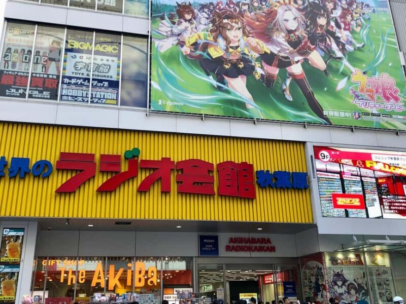Tokyo: Akihabara Otaku Private Custom Tour - Who Is This Tour For?