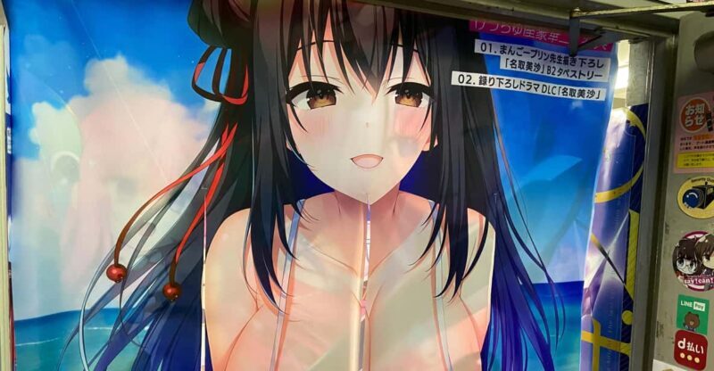 Tokyo: Akihabara Private Hentai Tour - Key Points